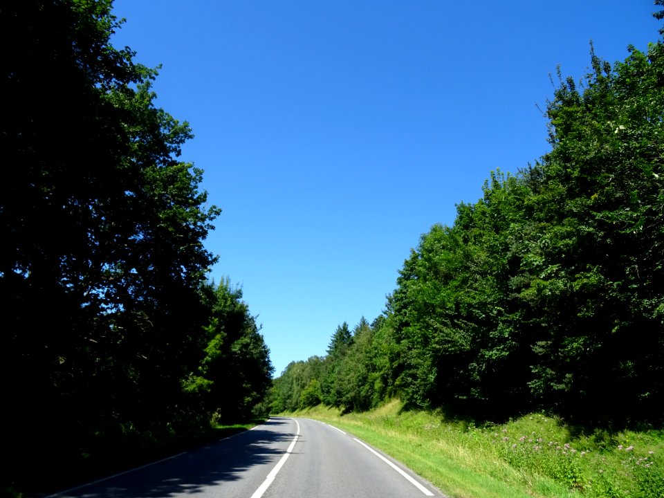 Sur la route entre Brionne et Authou, Eure 