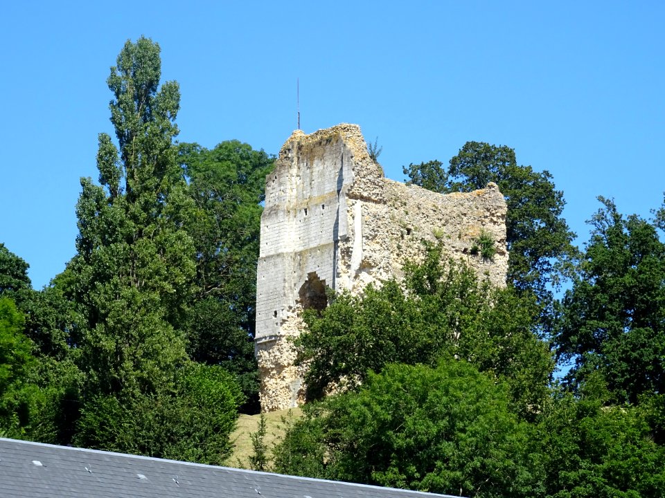 Château de Brionne, il ne reste que les ruines du donjon c… 