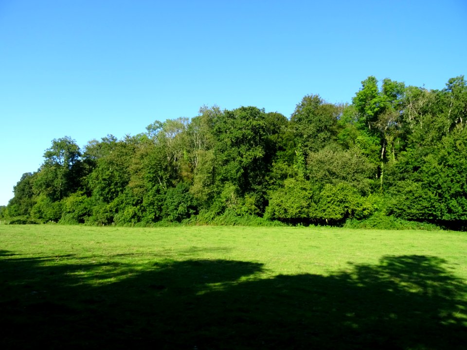 Belle prairie, avant Barneville-la-Bertran, Calvados 