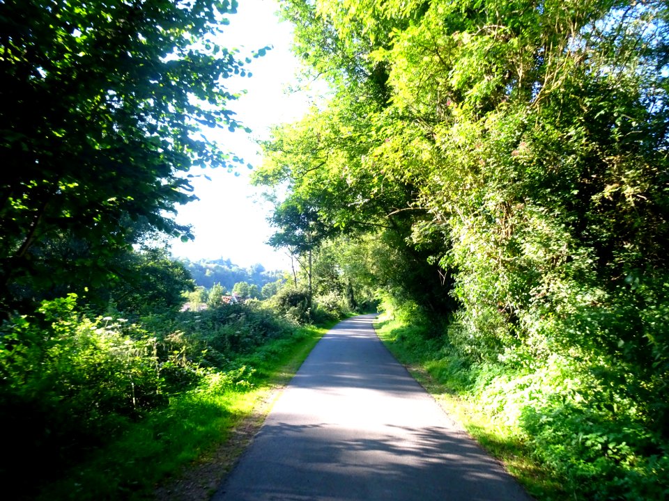 Entre Saint-Gatien-des-Bois et Barneville-la-Bertran, Calv… 