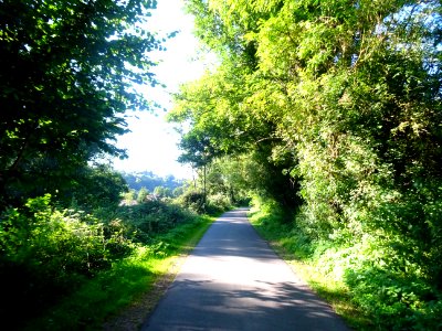Entre Saint-Gatien-des-Bois et Barneville-la-Bertran, Calv… 