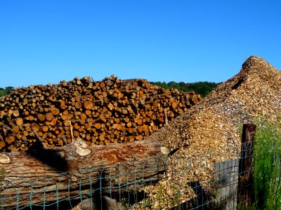 Scierie, Blangy-le-Château, Calvados 