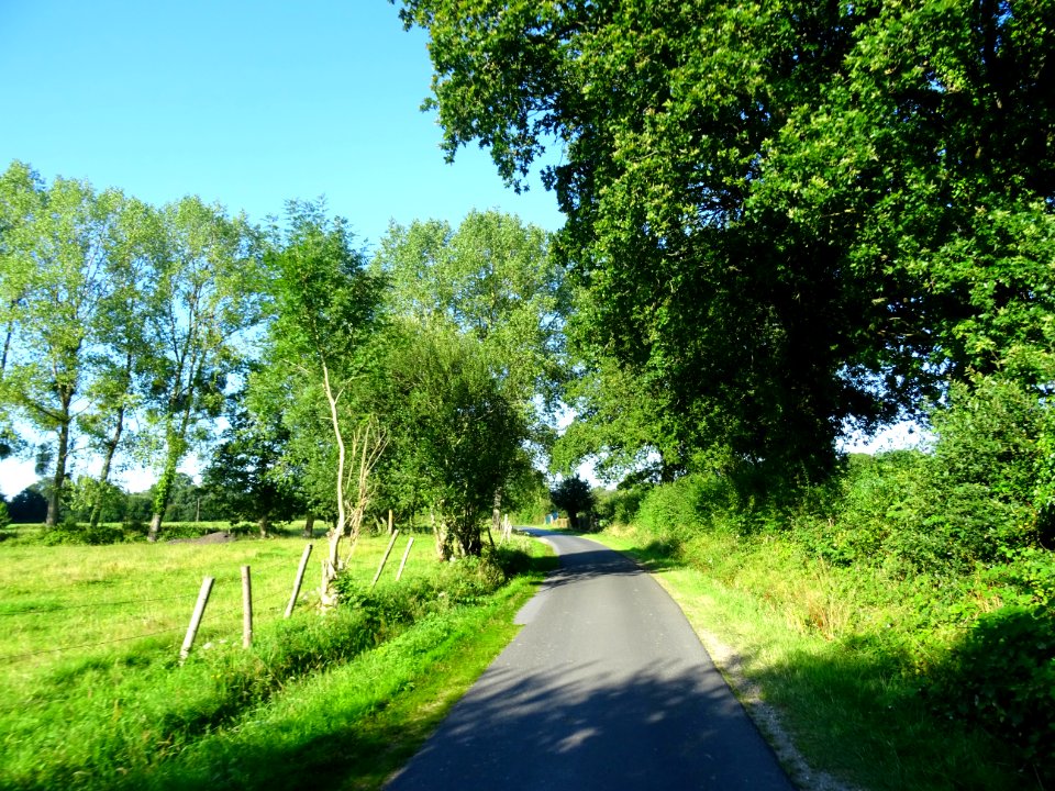 Sur une petite route, après Saint-Gatien-des-Bois, Calvado… 