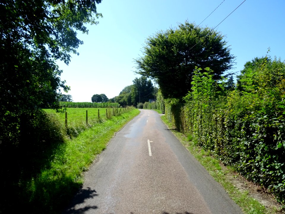 Sur une petite route, entre Livet-sur-Authou et Saint-Beno… 
