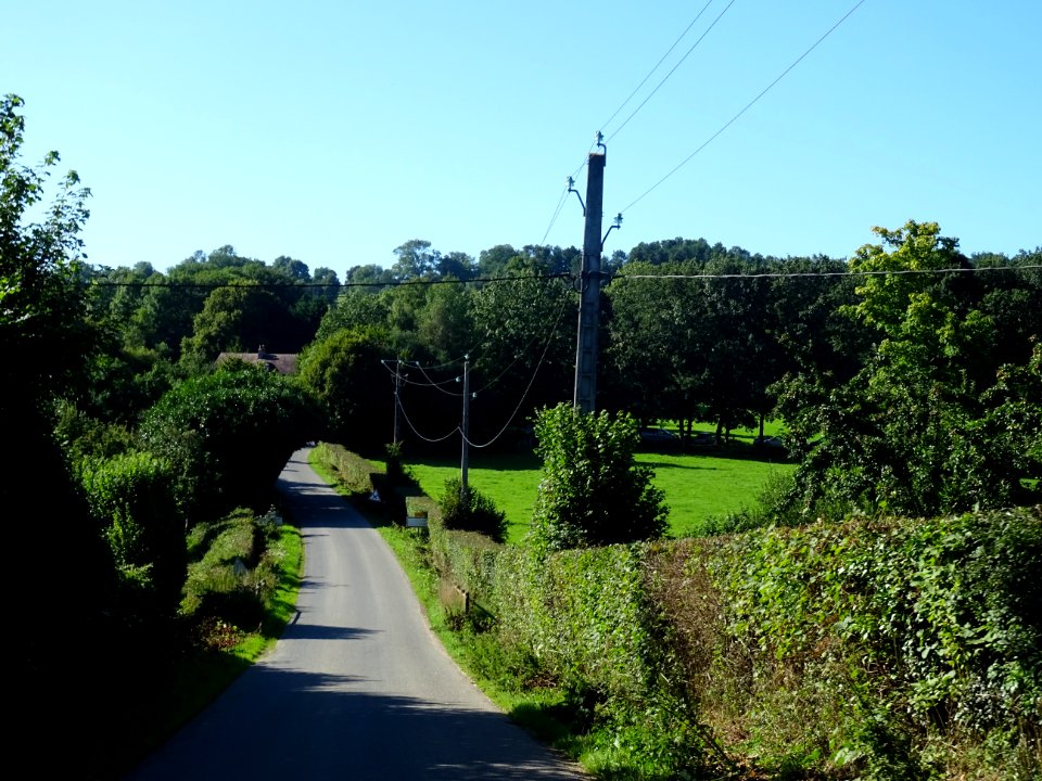 Sur une petite route, Le Mesnil-sur-Blangy, Calvados 
