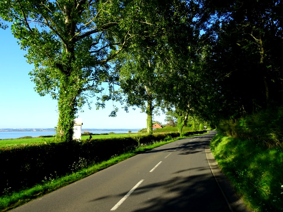 Sur la route entre Pennedepie et Vasouy, Calvados 