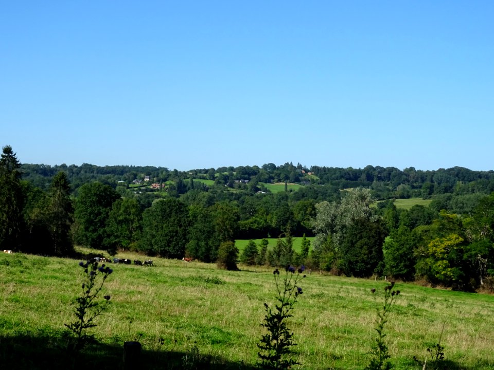 Paysage normand, après Cormeilles, Eure 