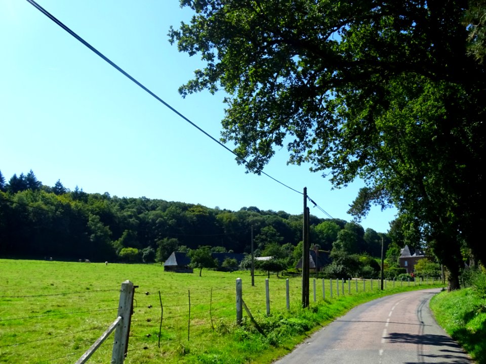 Sur la route, Livet-sur-Authou, Eure 