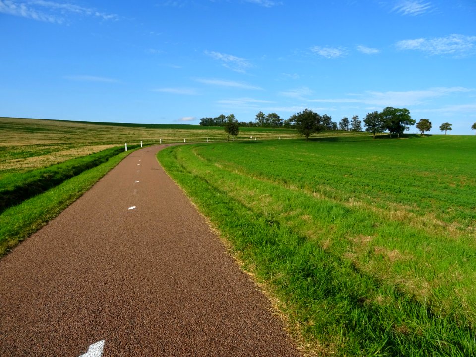 Sur la route entre Salives et Vesvrotte, Côte-d'Or 