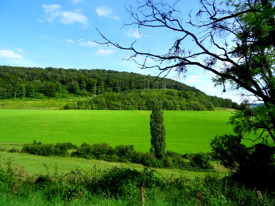 Paysage entre Salmaise et Bligny-le-Sec, Côte-d'Or 