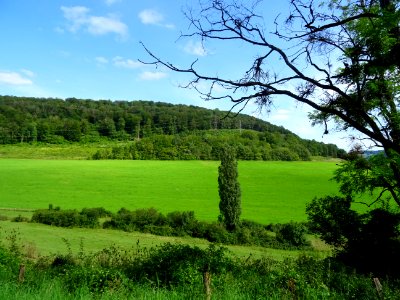 Paysage entre Salmaise et Bligny-le-Sec, Côte-d'Or 