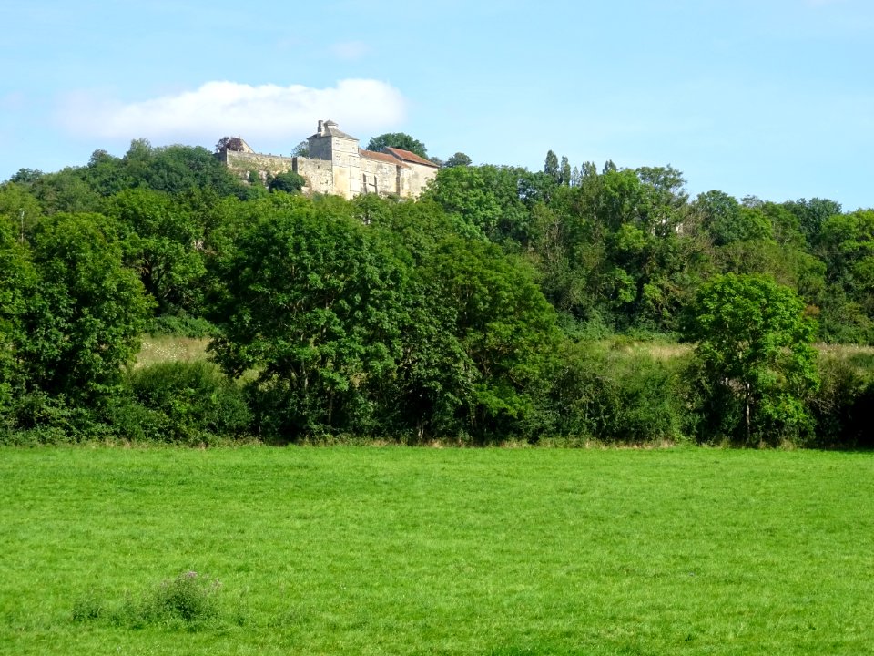 Château de Salmaise sur le sommet de la colline, Salmaise,… 