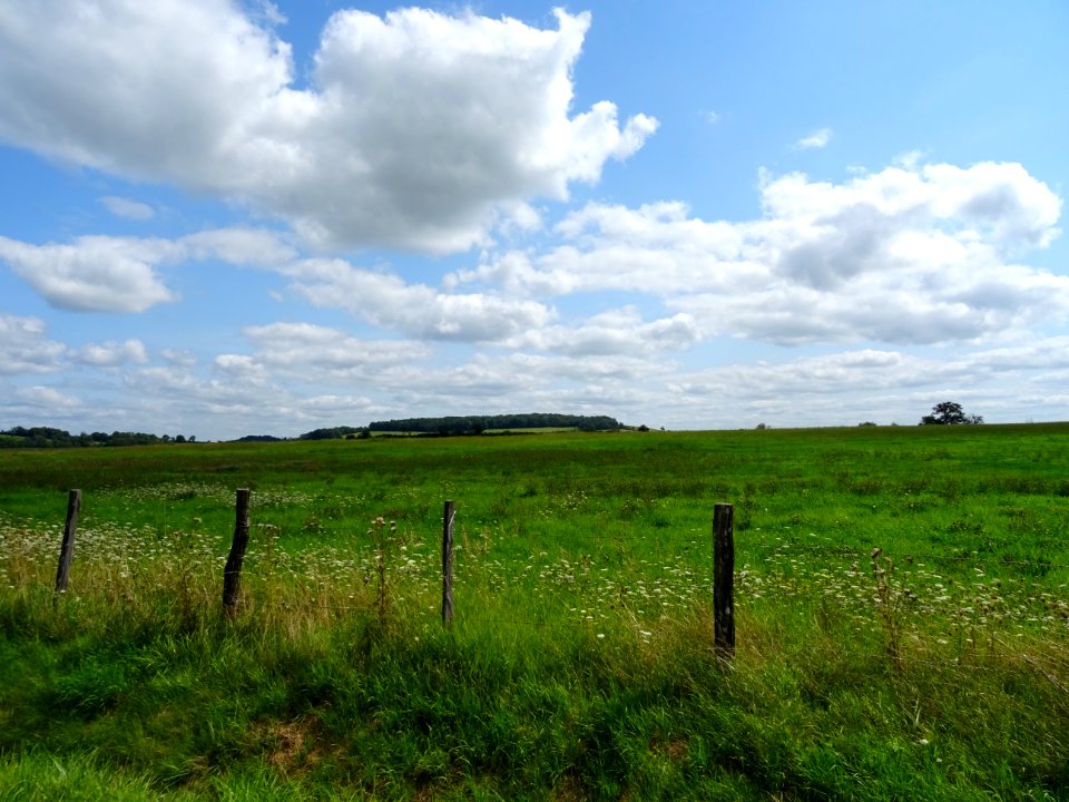 Paysage entre Semur-en-Auxois et Alise-Sainte-Reine, Côte-… 