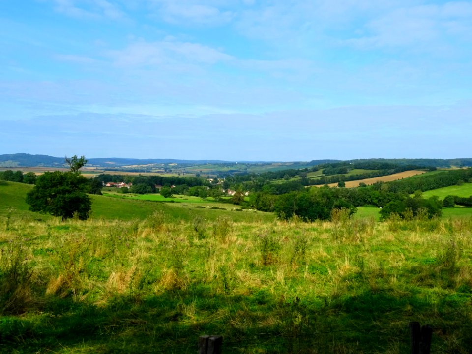 Paysage entre Vassy et Sauvigny-le-Bois, Yonne 