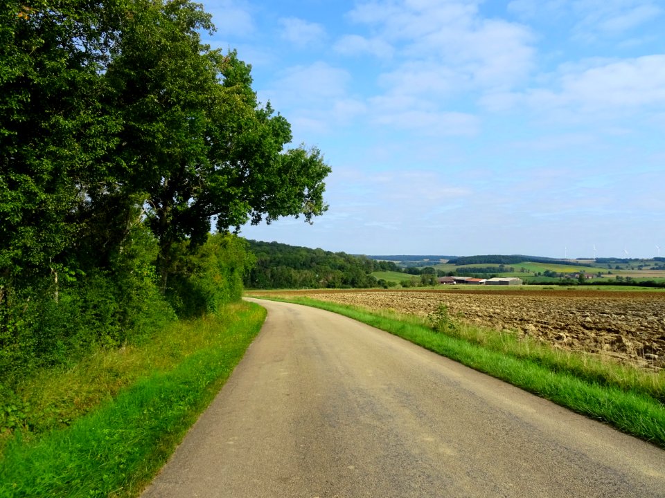 Sur la route entre Vassy et Sauvigny-le-Bois, Yonne 