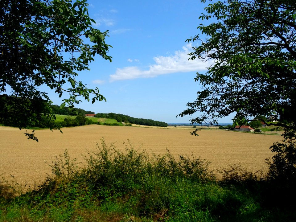 Paysage, après Gigny, Yonne 