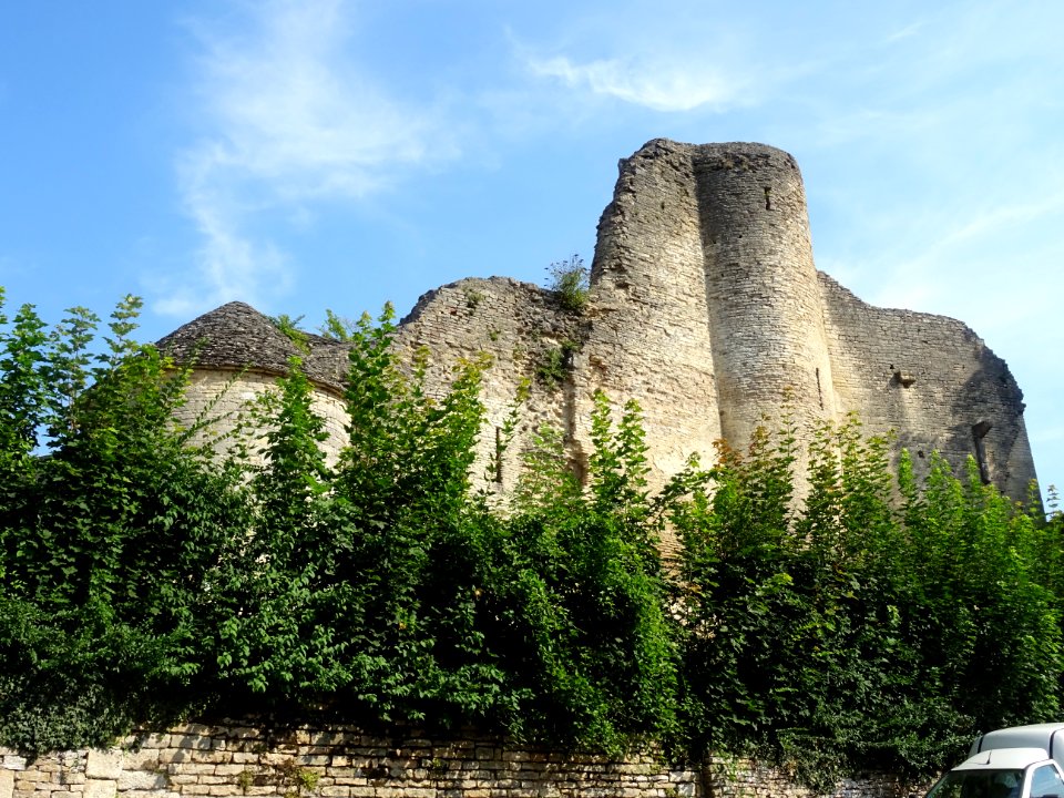 Ruines de l'ancien château des Ducs de Bourgogne, Châtillo… 
