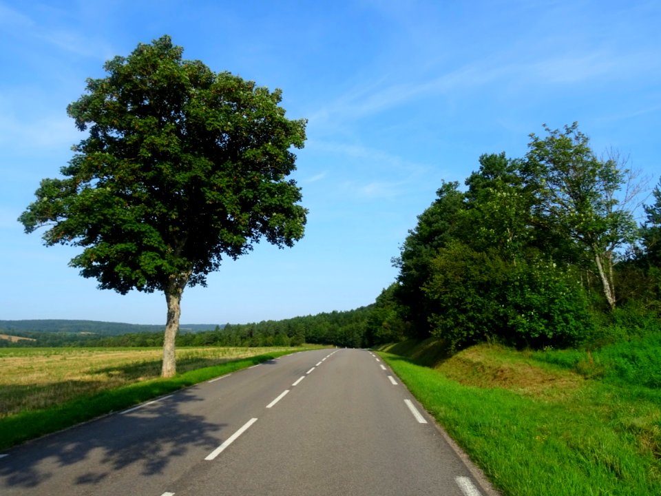 Sur la route entre Lugny et Vanvey, Côte-d'Or 