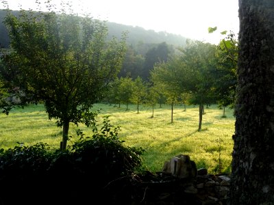 Verger près de l'abbaye-Auberive, Auberive, Haute-Marne 