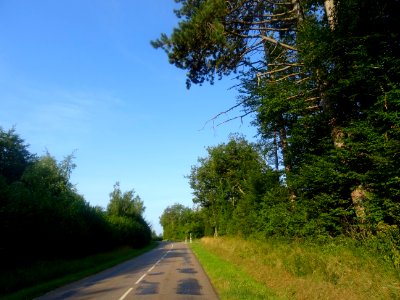 Sur la route entre Germaines et Colmier-le-Haut, Haute-Mar… 