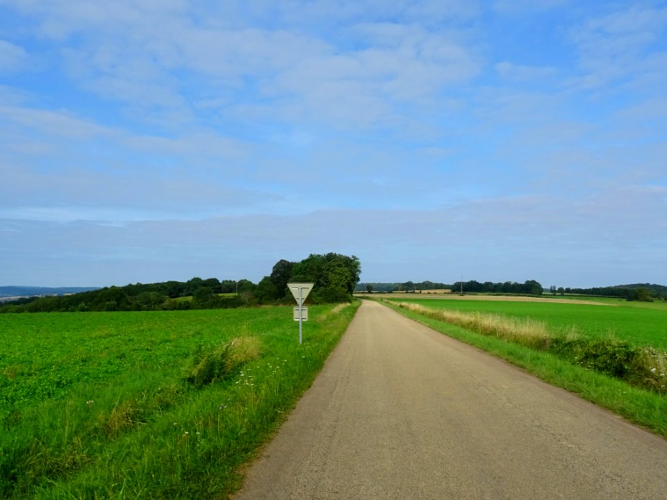 Sur la route entre Vassy et Sauvigny-le-Bois, Yonne 