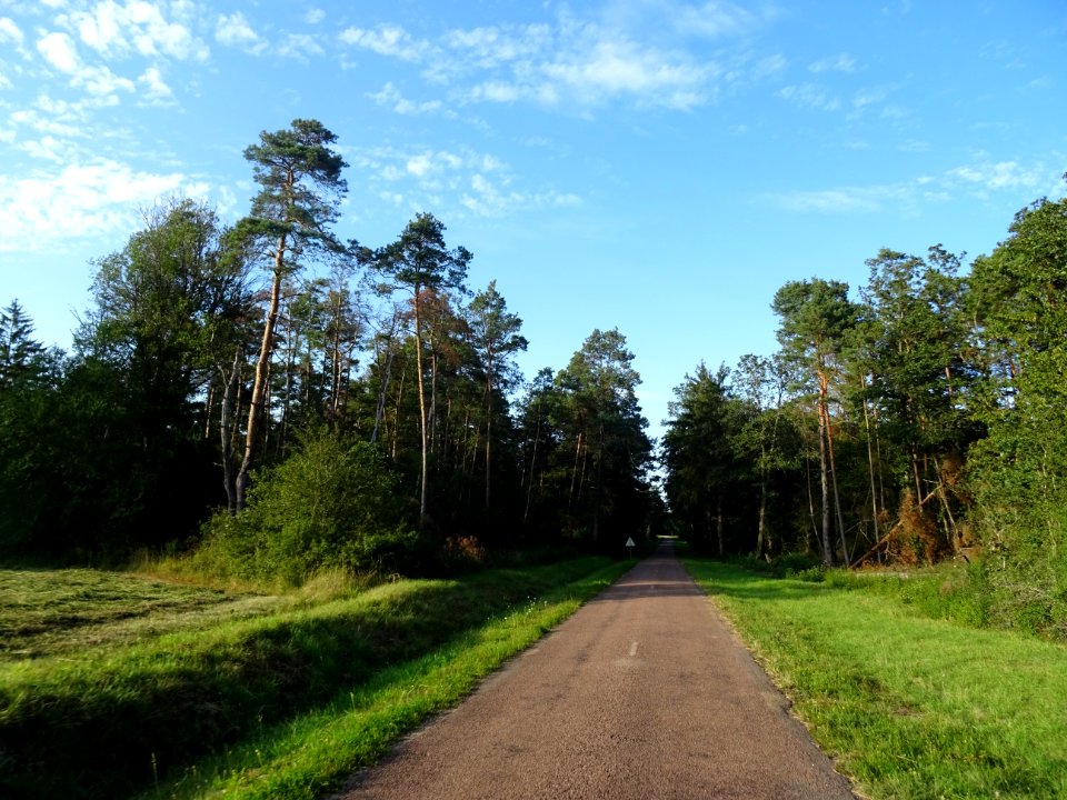 Sur la route après Bussières, Côte-d'Or, en allant vers Po… 
