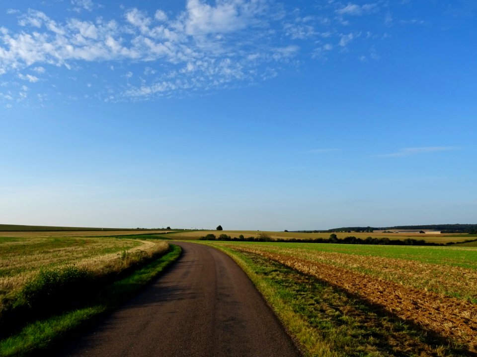 Sur la route en allant vers Poinson-lès-Grancey, Haute-Mar… 