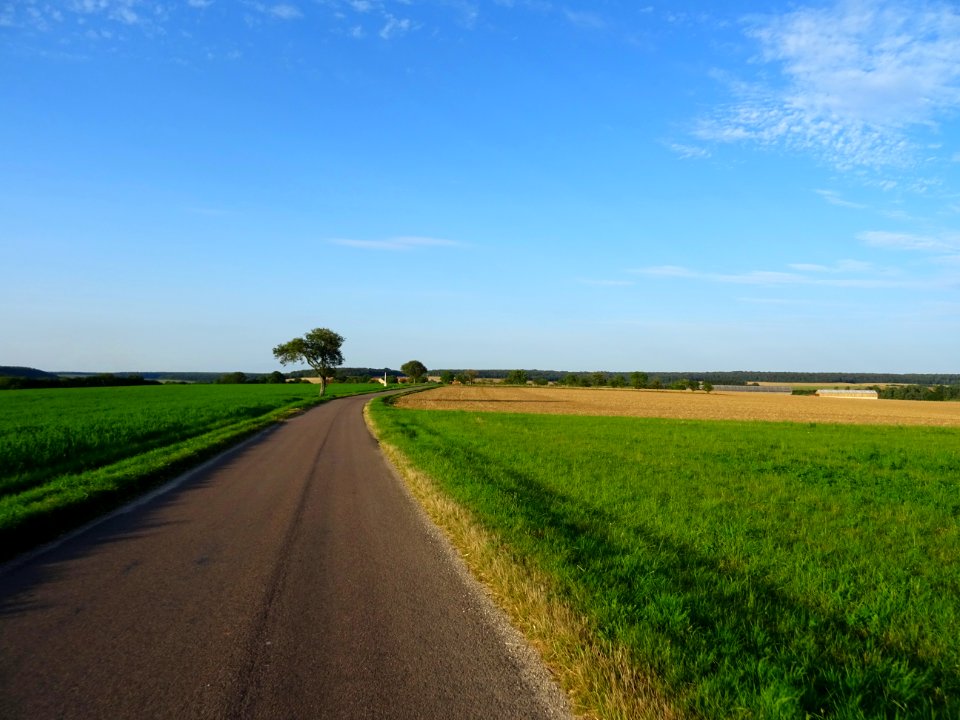 Sur la route en allant vers Poinson-lès-Grancey, Haute-Mar… 