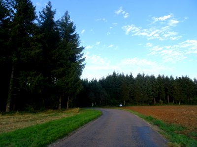 Sur une petite route entre Santenoge et Auberive, Haute-Ma… 