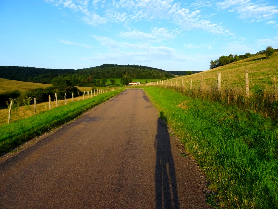 Sur une petite route entre Santenoge et Auberive, Haute-Ma… 