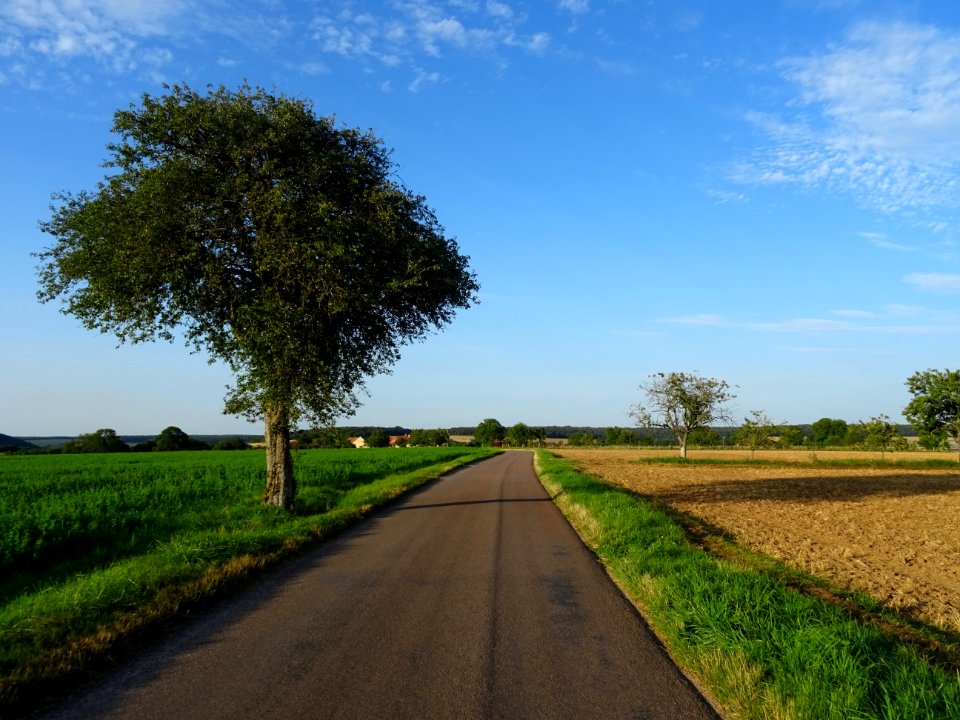 Sur la route en allant vers Poinson-lès-Grancey, Haute-Mar… 