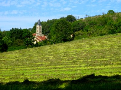 L'herbe fraîchement coupée sèche sous l'église Saint-Pierr… 