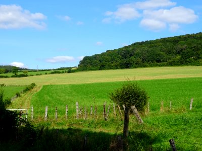 Prairies et forêts, Salmaise, Côte-d'Or 