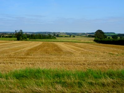 Paysage entre Sauvigny-le-Bois et Montjalin, Yonne 