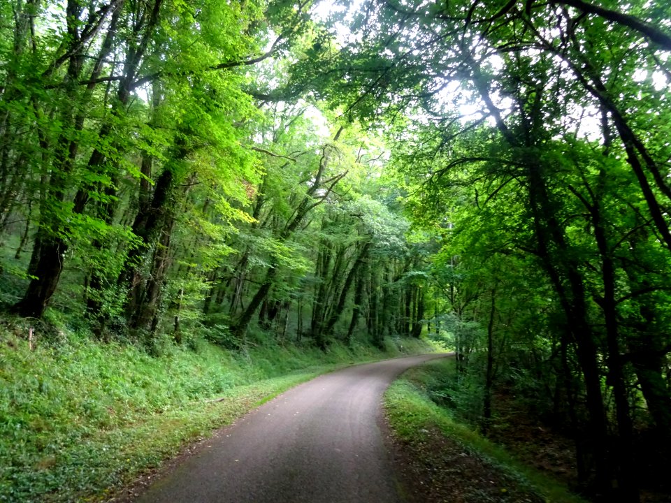 Sur une petite route entre Voutenay-sur-Cure et Lucy-le-Bo… 