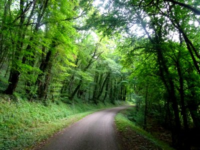 Sur une petite route entre Voutenay-sur-Cure et Lucy-le-Bo… 