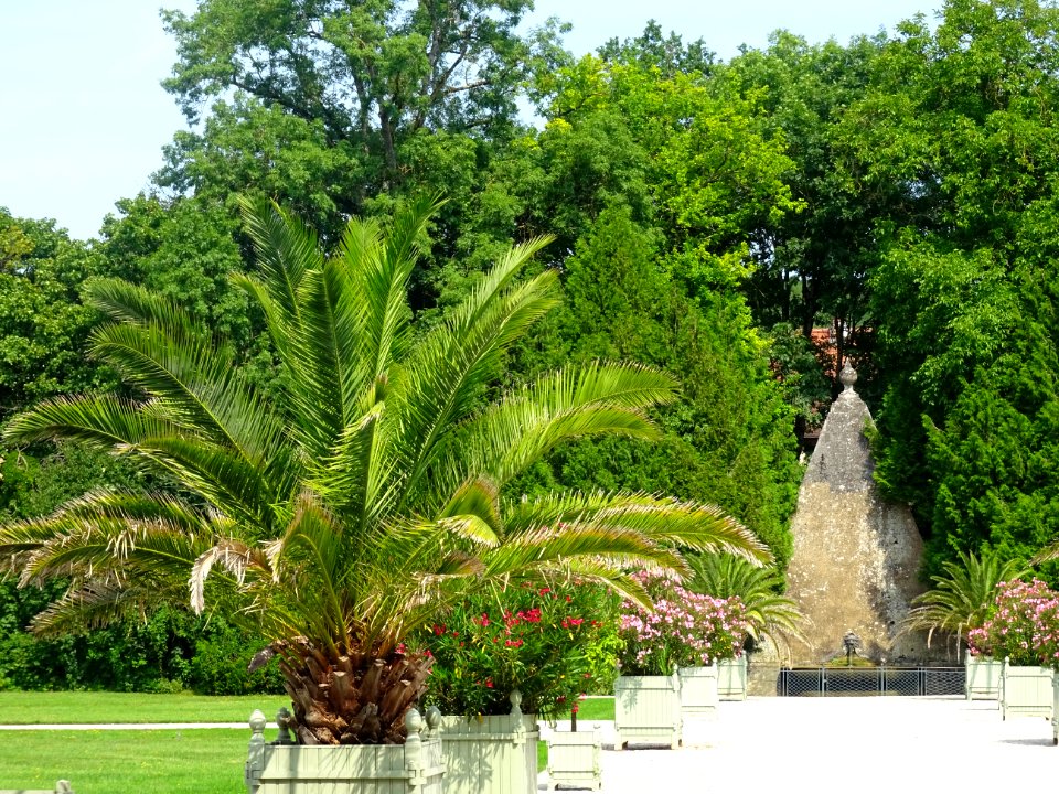 Parc du Château d'Ancy-le-Franc, Ancy-le-Franc, Yonne 