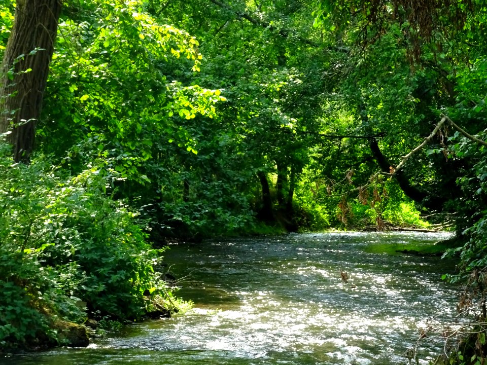 Le Serein, Noyers-sur-Serein, Yonne 