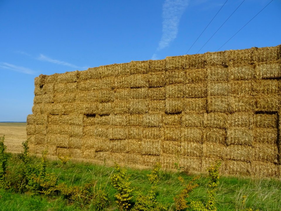 Mur de bottes de foin entassées sur le bord de la route 