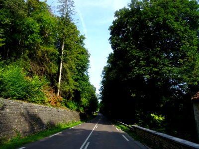 Sur la route entre Vanvey et Maisey-le-Duc, Côte-d'Or 