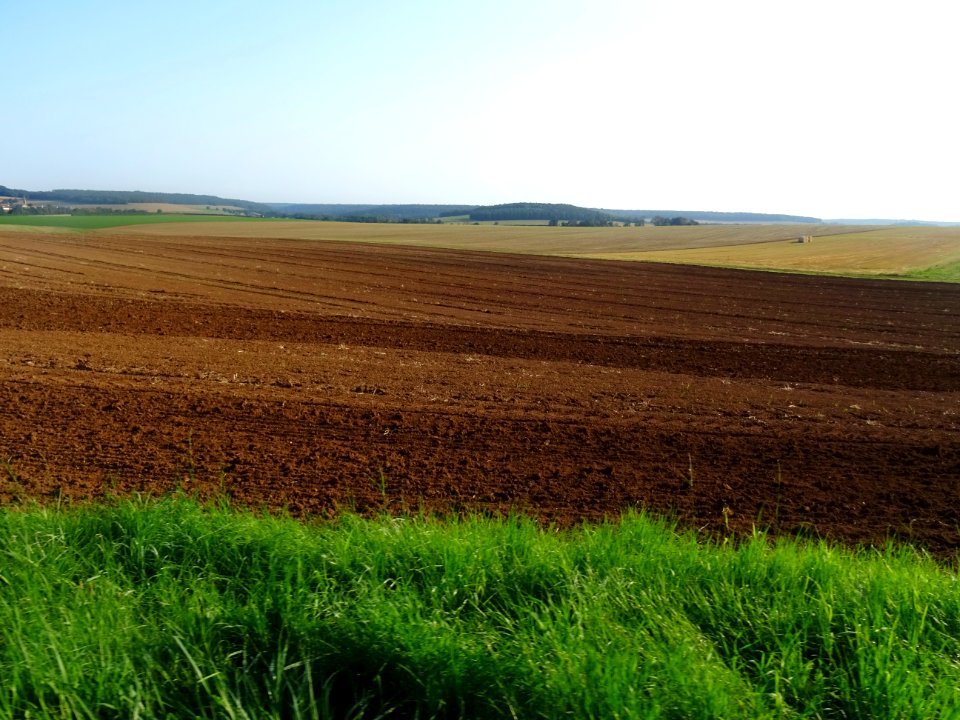 Champs labourés, après Colmier-le-Haut, limite entre la Ha… 