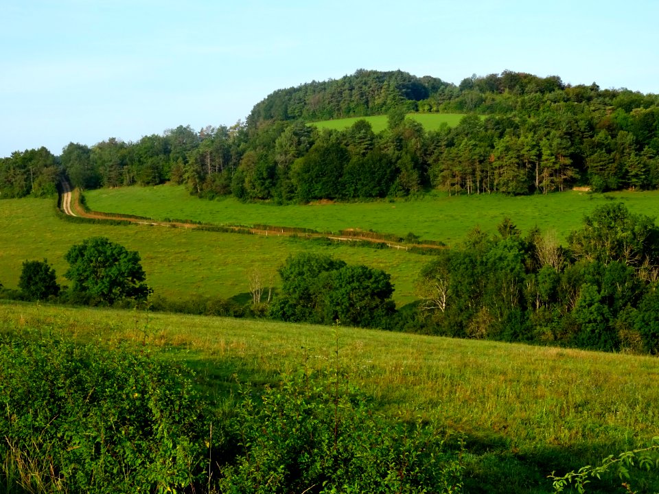 Paysage, près de Germaines, Haute-Marne 