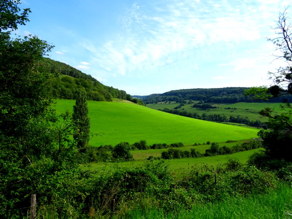 Paysage entre Salmaise et Bligny-le-Sec, Côte-d'Or 