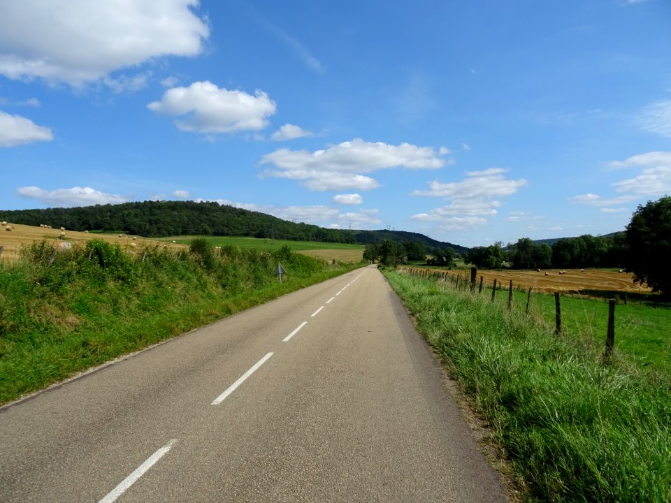 Sur la route, avant Gissey-sous-Flavigny, Côte-d'Or 