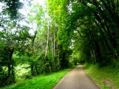 Sur une petite route entre Voutenay-sur-Cure et Lucy-le-Bo… 