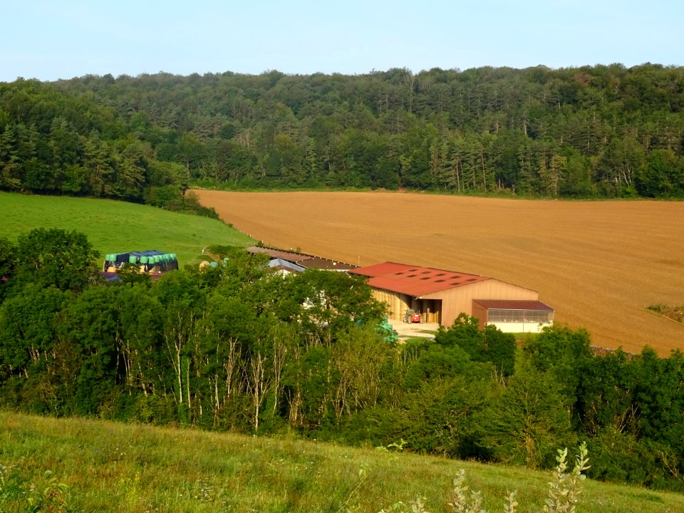 Hangars agricoles, Germaines, Haute-Marne 