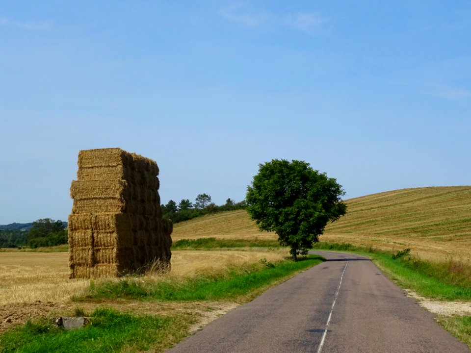 Bottes de foins empilées entre Stigny et Ancy-le-Franc, Yo… 