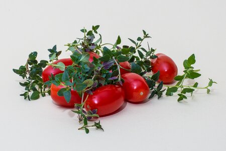 Culinary herbs herb cook