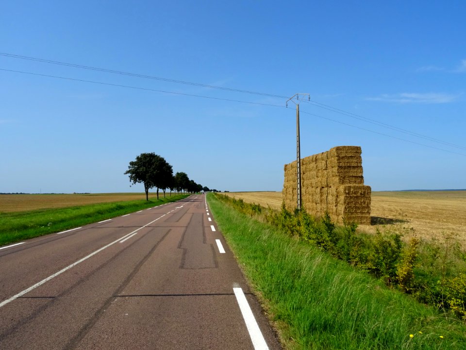 Sur la route entre Châtillon-sur-Seine et Laignes, Côte-d'… 