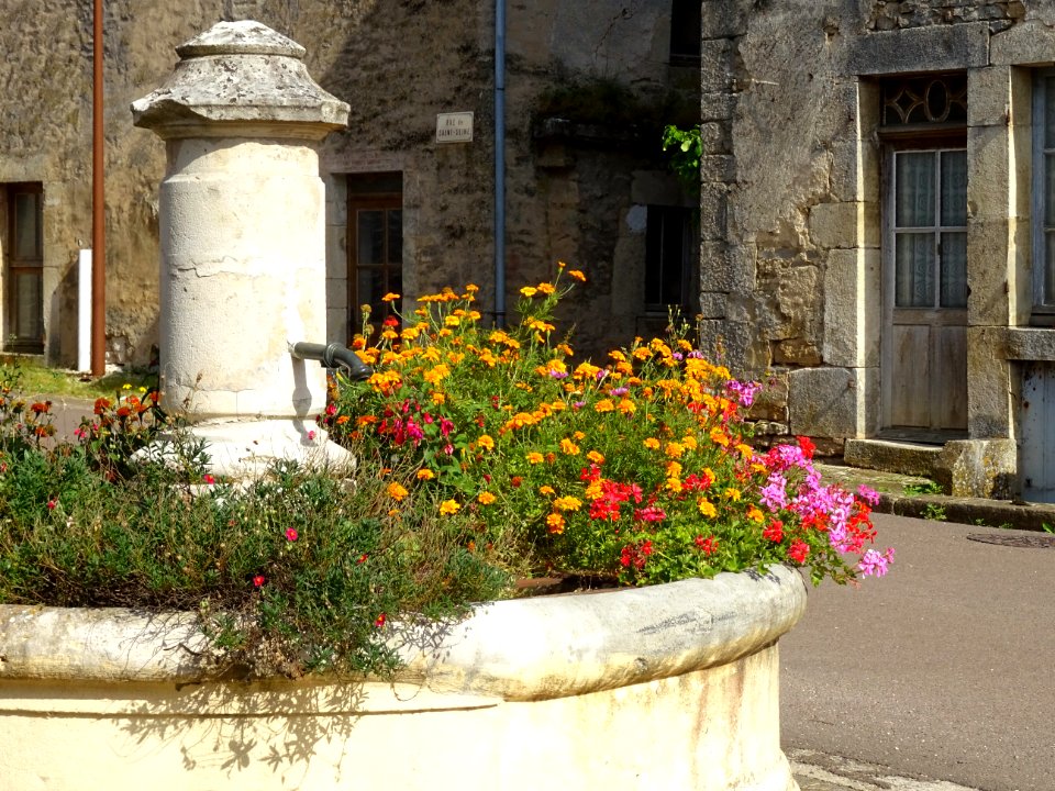 Fontaine fleurie, Bligny-le-Sec, Côte-d'Or 